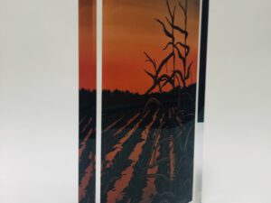 Gelamineerd plexiglas